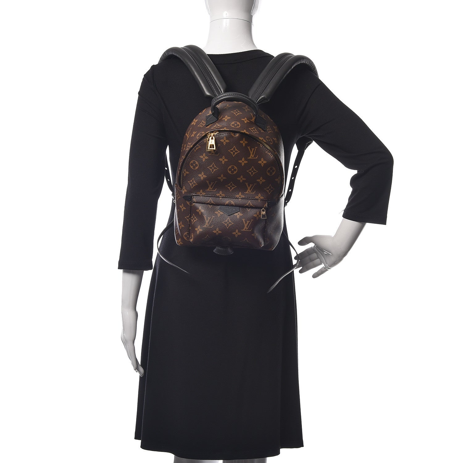 Louis Vuitton Monogram Palm Springs Backpack PM 2 of 9