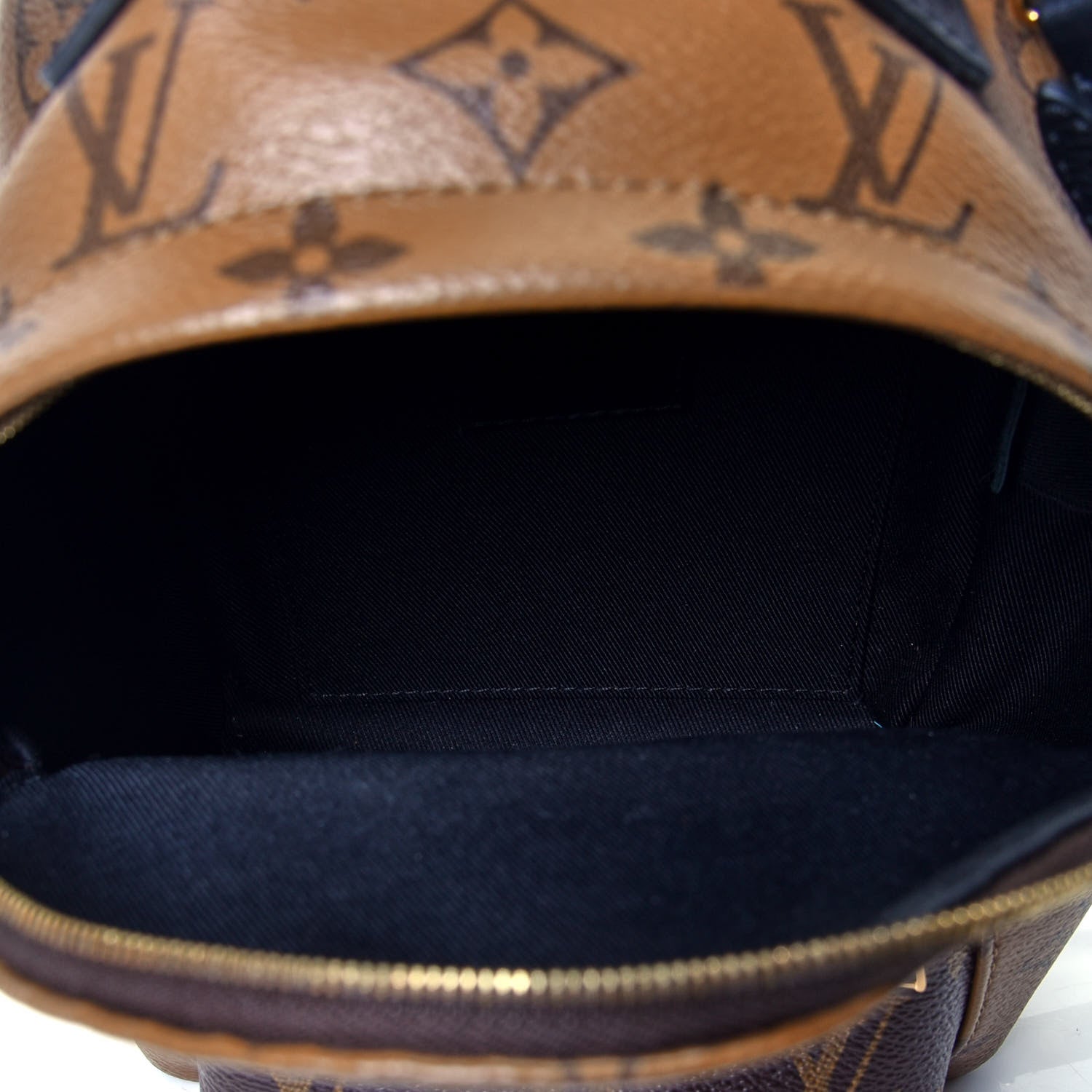 Louis Vuitton Reverse Monogram Palm Springs Backpack Mini 4 of 4
