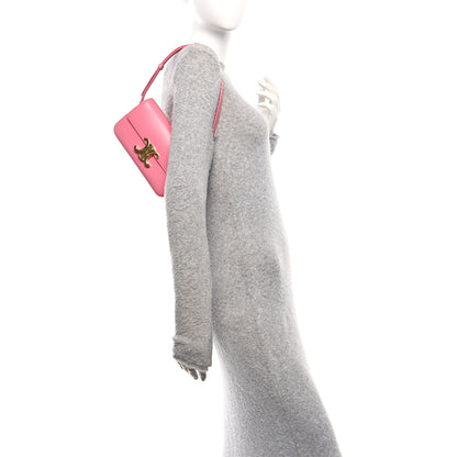 Celine Shiny Calfskin Triomphe Flamingo 2 of 14