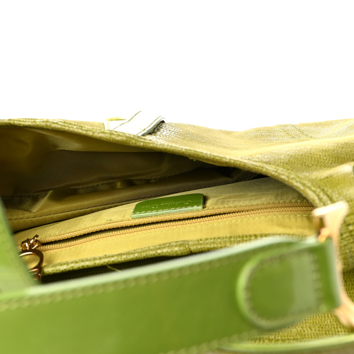 CHRISTIAN DIOR Lizard Saddle Bag Green