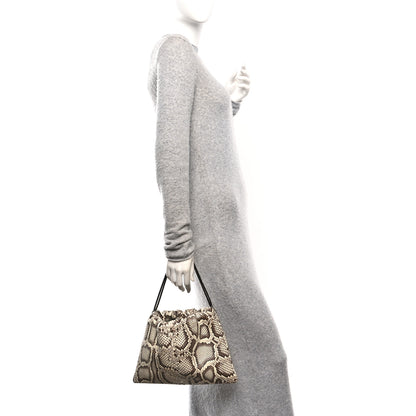 Bottega Veneta Snakeskin Dustbag Brown 2 of 10