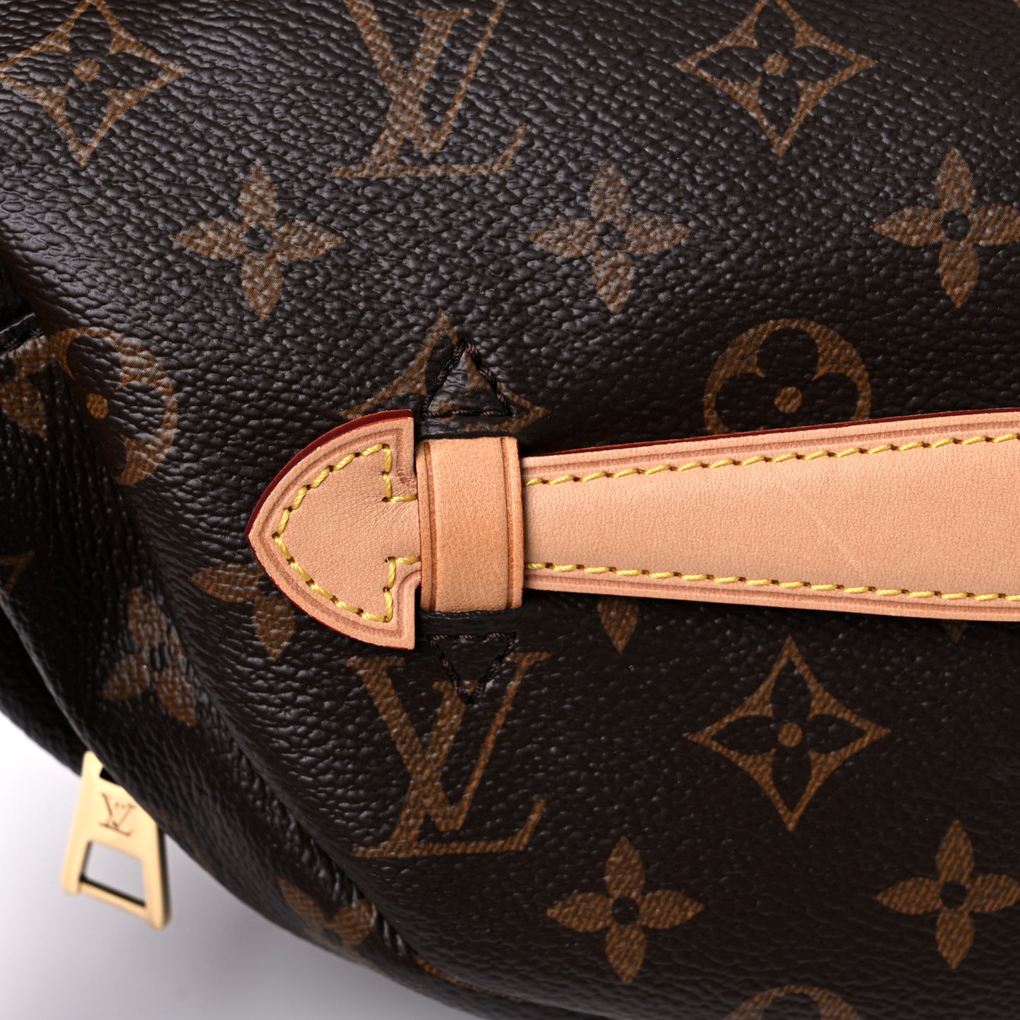 Monogram Bumbag