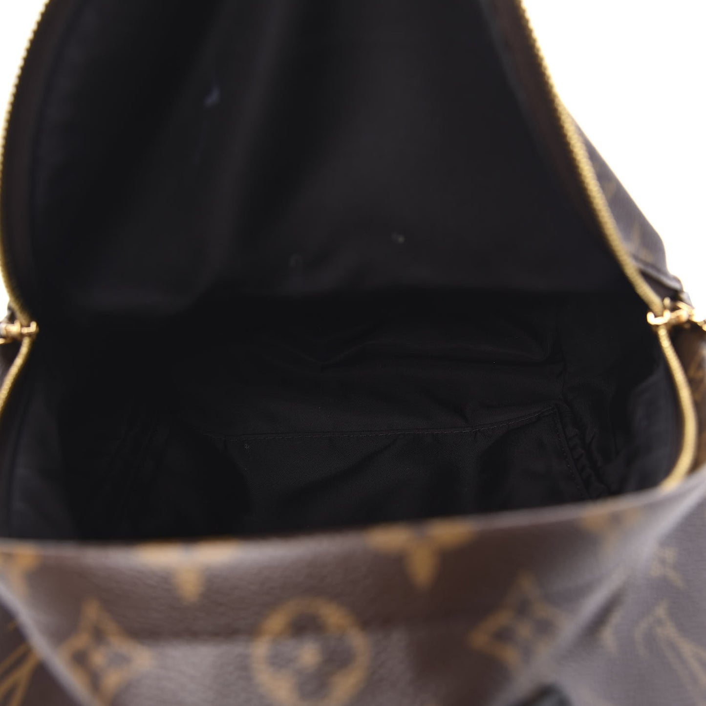 Monogram Palm Springs Backpack PM