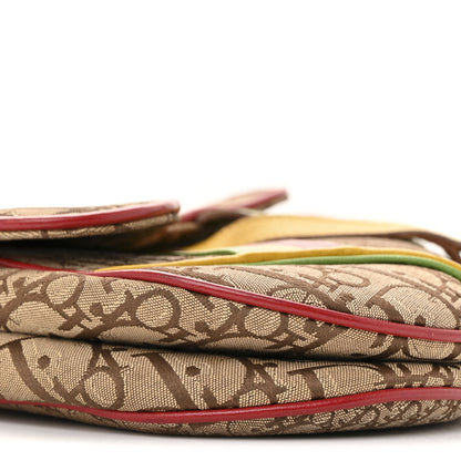 Christian Dior Monogram Rasta Saddle Bag Beige 14 of 20