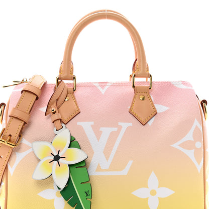 Louis Vuitton Monogram Giant By The Pool Speedy Bandouliere 25 Light Pink 8 of 10
