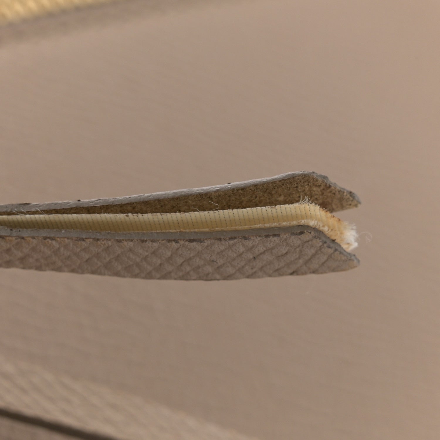 Celine Grained Calfskin Mini Belt Bag Light Taupe 13 of 14