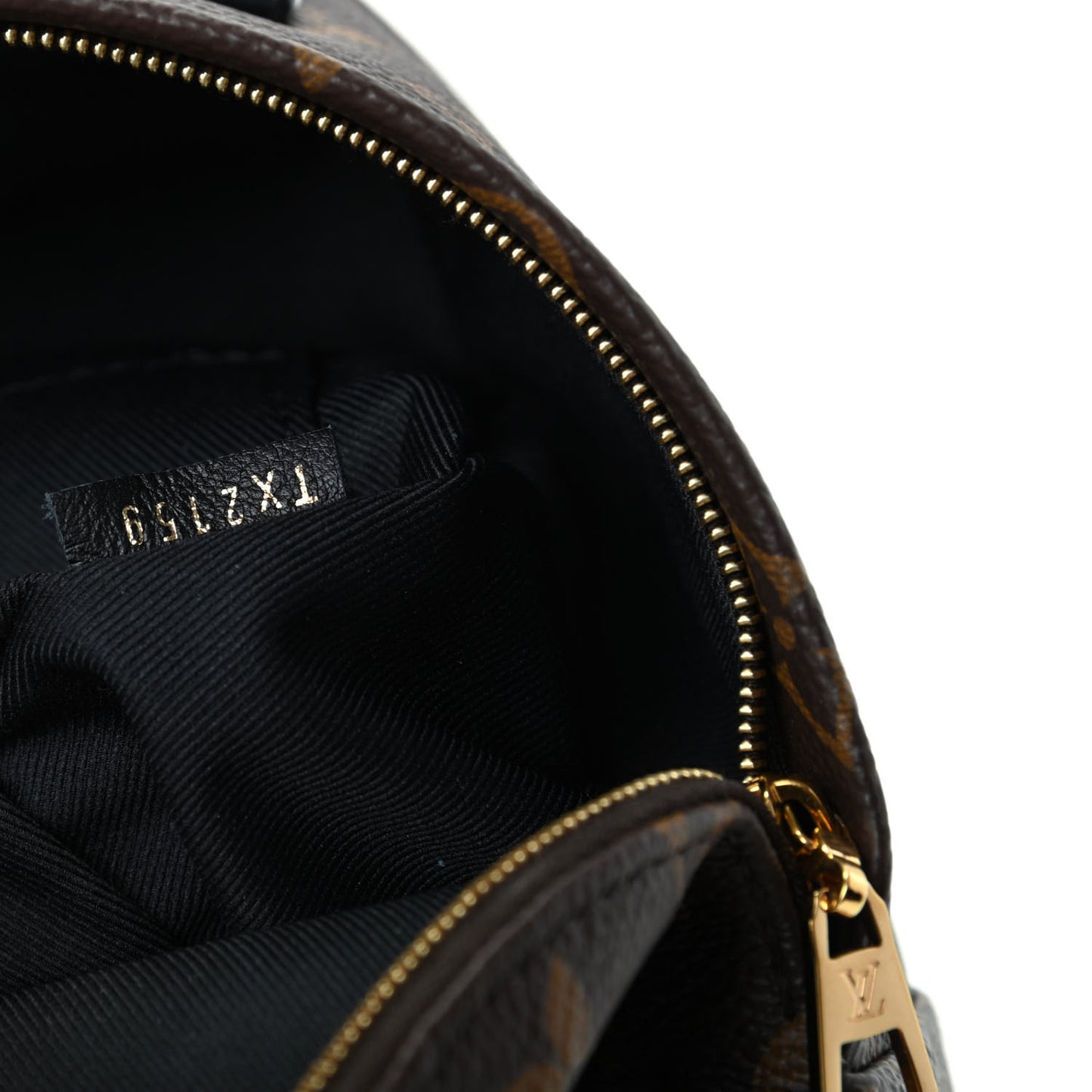 Monogram Palm Springs Backpack Mini