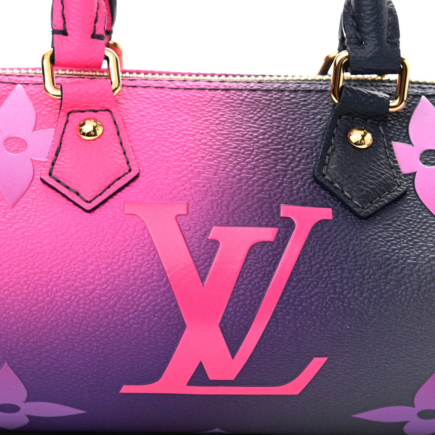 Monogram Giant Spring In The City Papillon BB Midnight Fuchsia