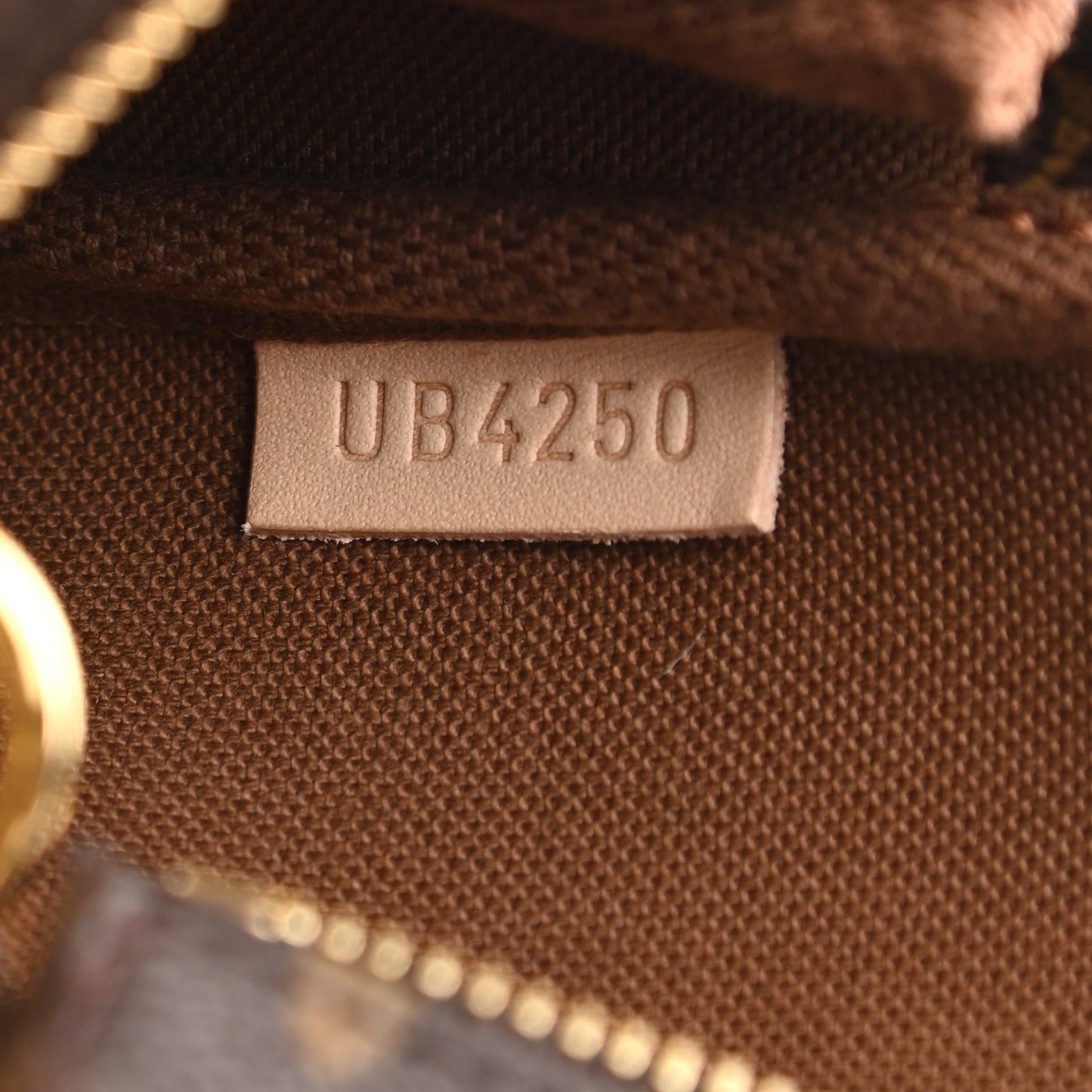 Monogram Mini Pochette Accessories