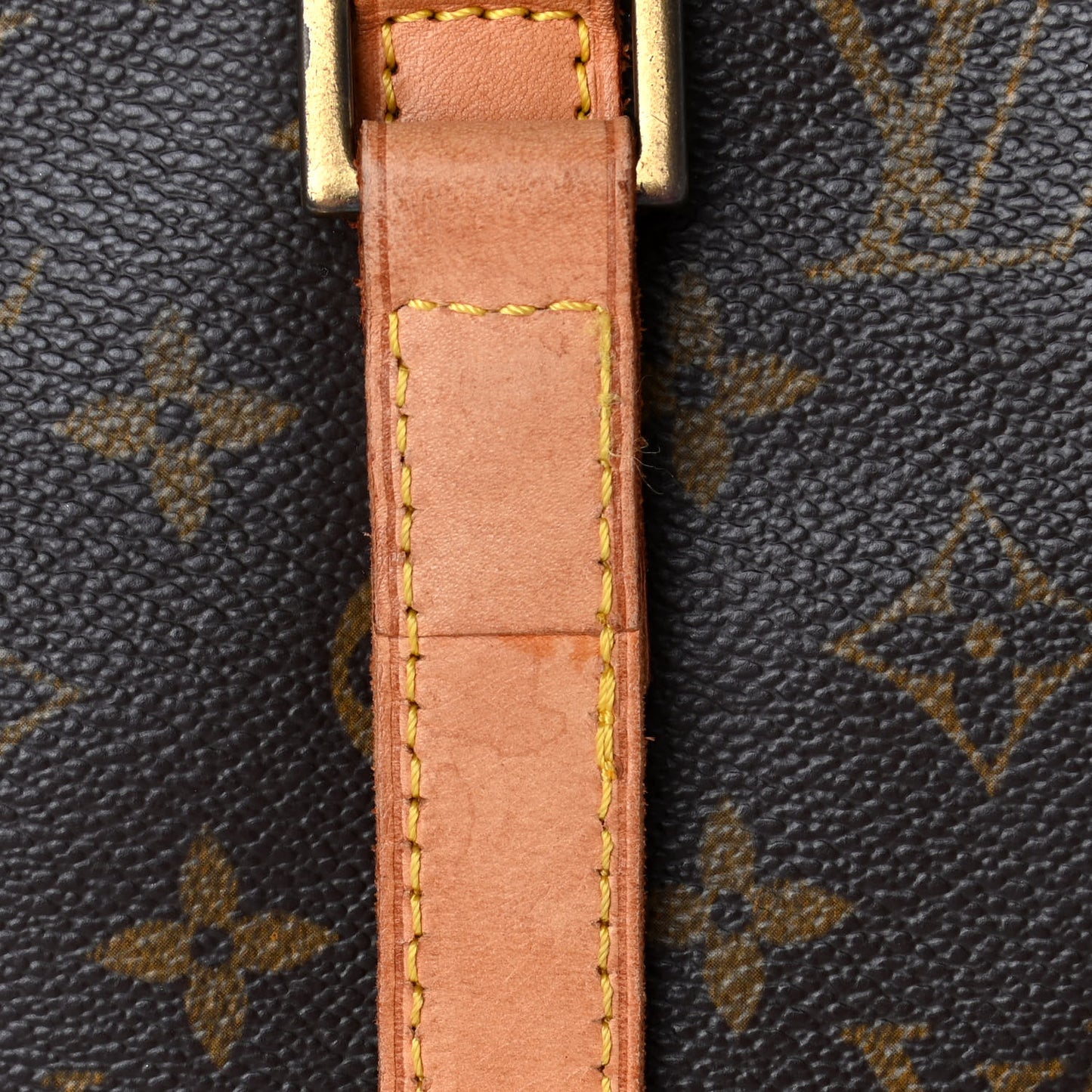 Monogram Cabas Mezzo