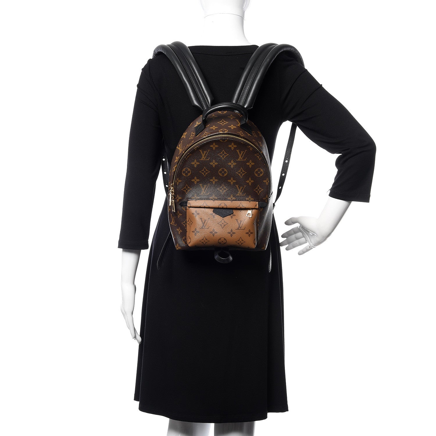 Louis Vuitton Reverse Monogram Palm Springs Backpack PM 2 of 8