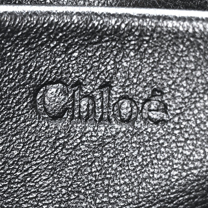Chloe Snakeskin Jumbo Elsie Chain Shoulder Bag Brown Green 6 of 9