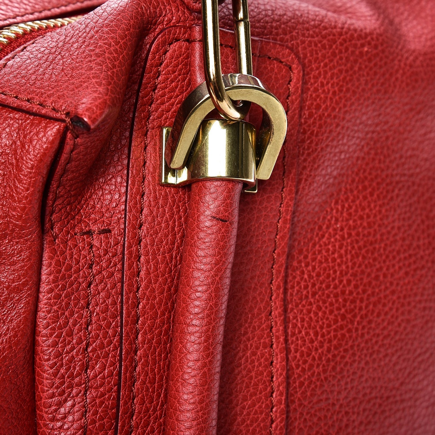 Calfskin Medium Paraty Holly Berry
