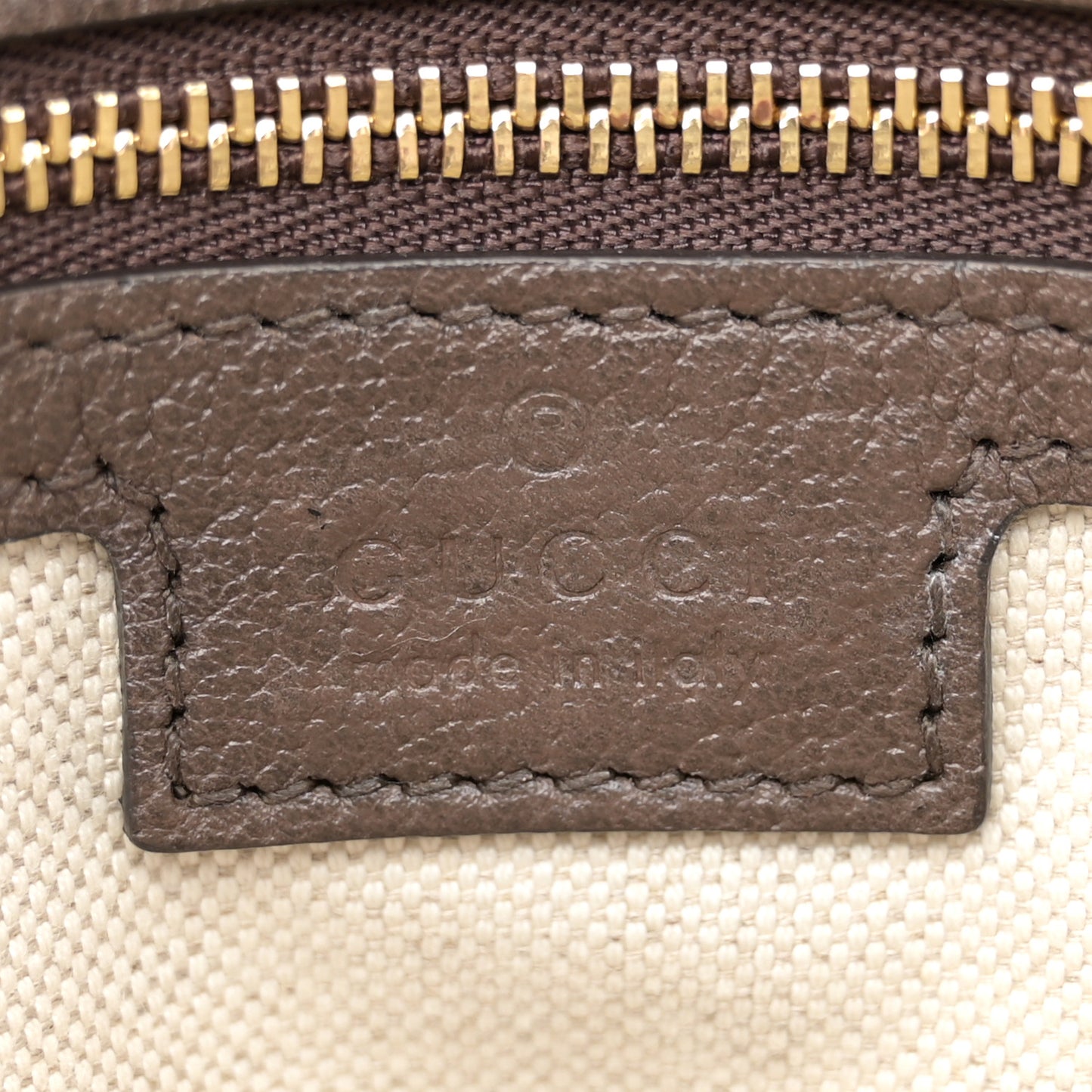 GG Supreme Monogram Textured Dollar Calfskin Web Medium Blondie Top Handle Shoulder Flap Bag Beige Ebony New Acero