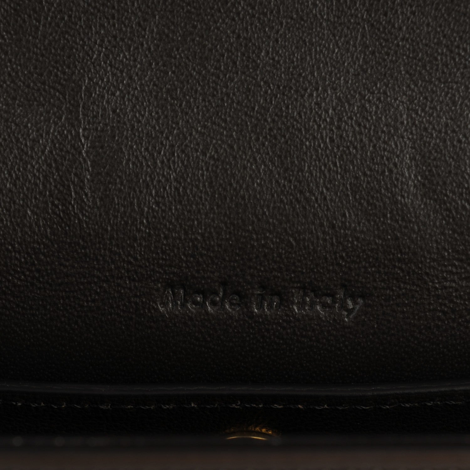 Celine Supersoft Calfskin Medium Trotteur Wood 5 of 8