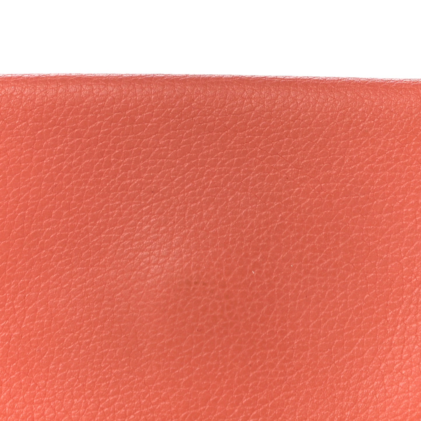 Evercolor Calvi Card Case Crevette