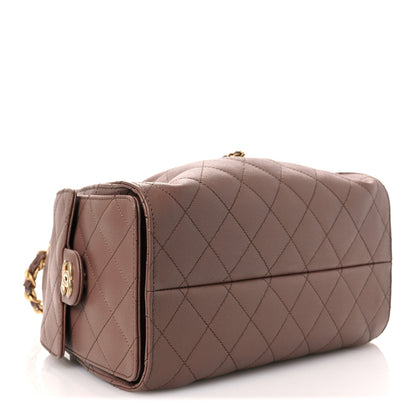 Chanel Caviar Quilted Small Chanel 25 Handbag Brown 4 of 11