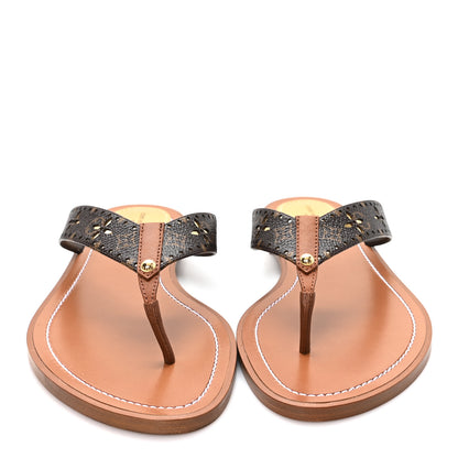 Louis Vuitton Monogram Sunny Flat Thong Sandals 39 Brown 3 of 9