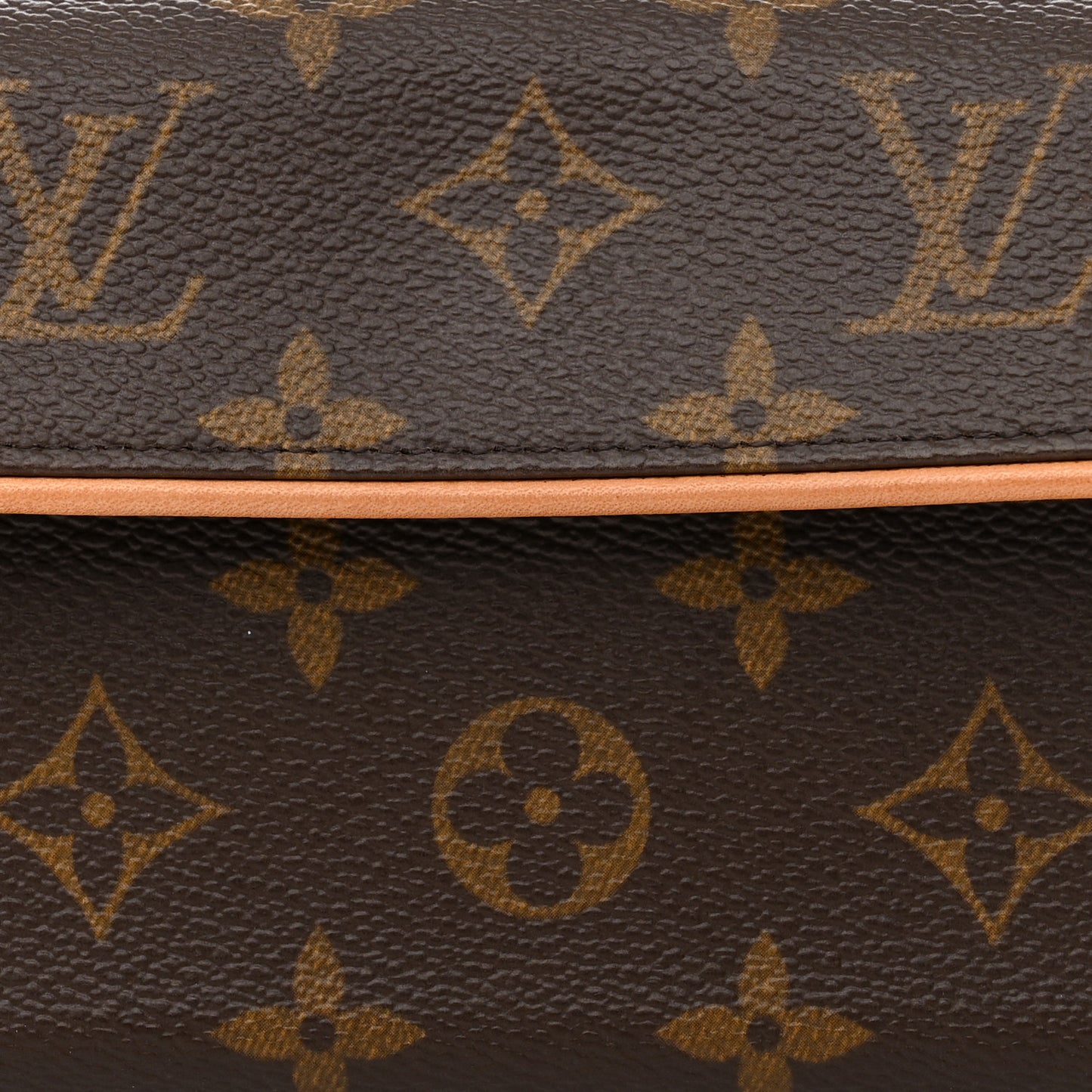 Monogram Pochette Florentine XS
