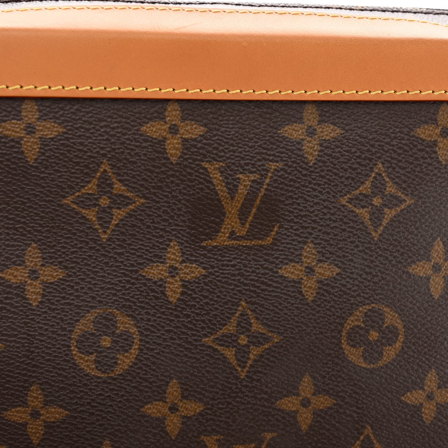 Monogram Soft Trunk