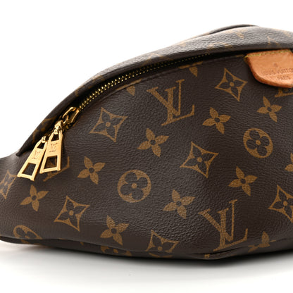 Louis Vuitton Monogram Bumbag 8 of 14