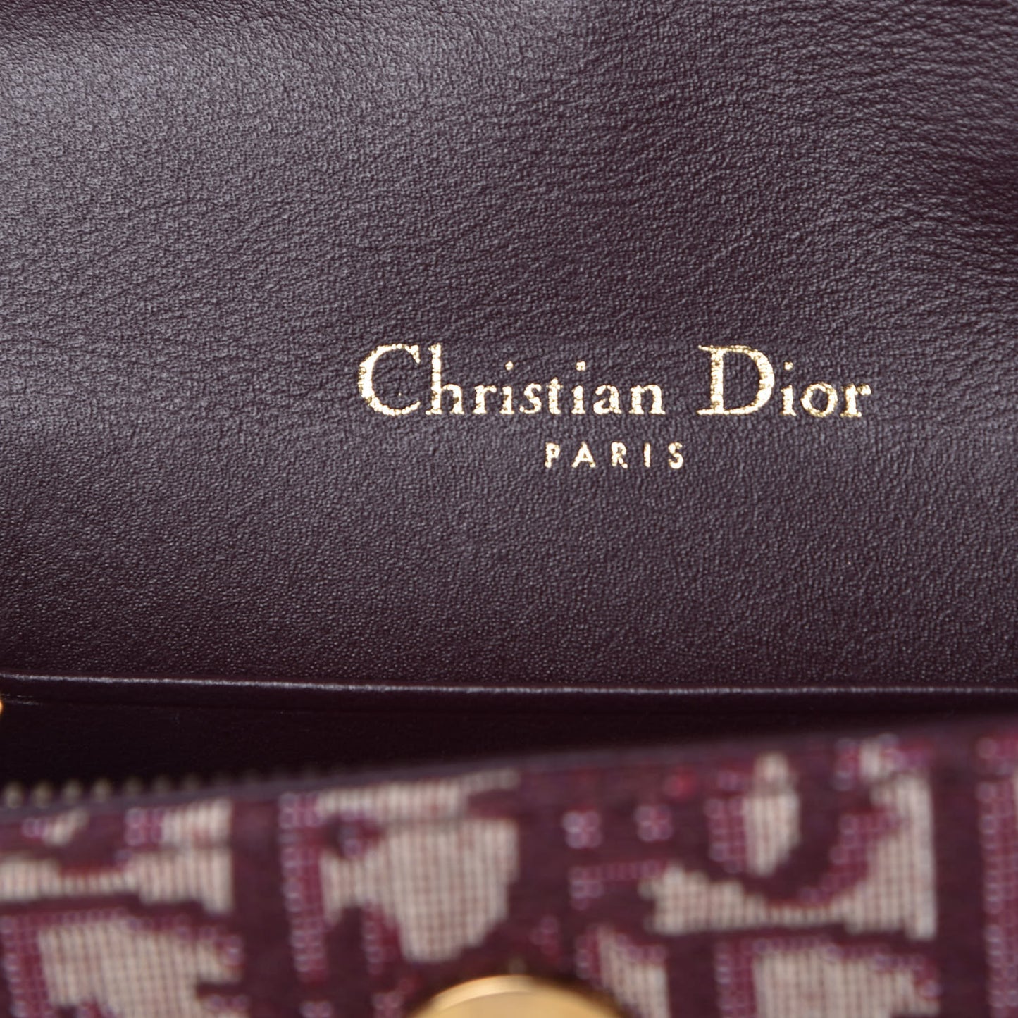 Oblique Saddle Belt Bag Bordeaux