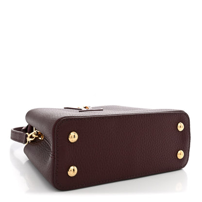 Louis Vuitton Taurillon Ostrich Mini Capucines Bordeaux 4 of 10