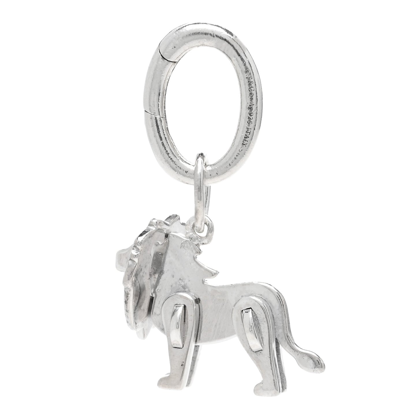 Sterling Silver Save the Wild Lion Charm