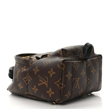 Louis Vuitton Monogram Palm Springs Backpack Mini 4 of 14