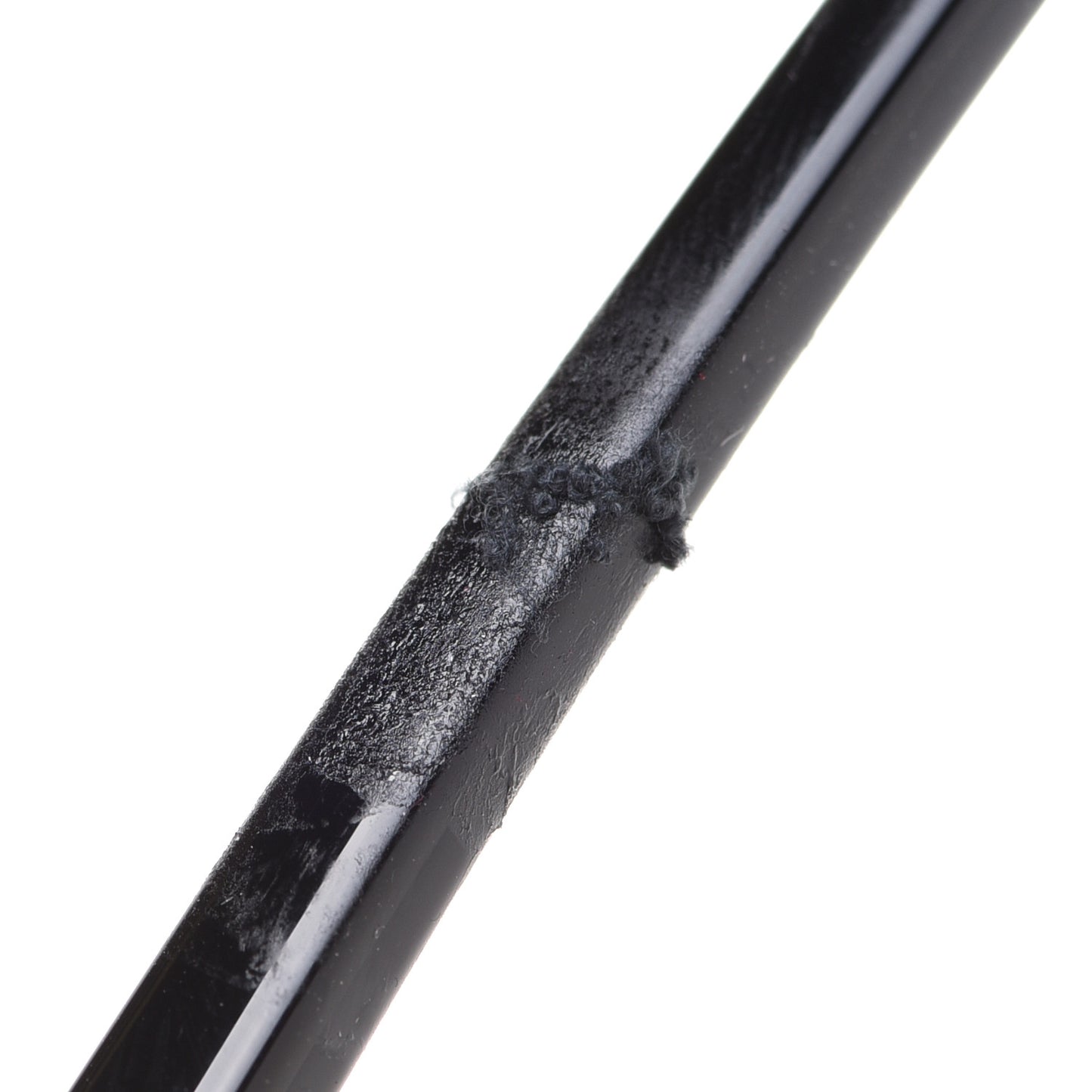 CT0186SA Sunglasses Black