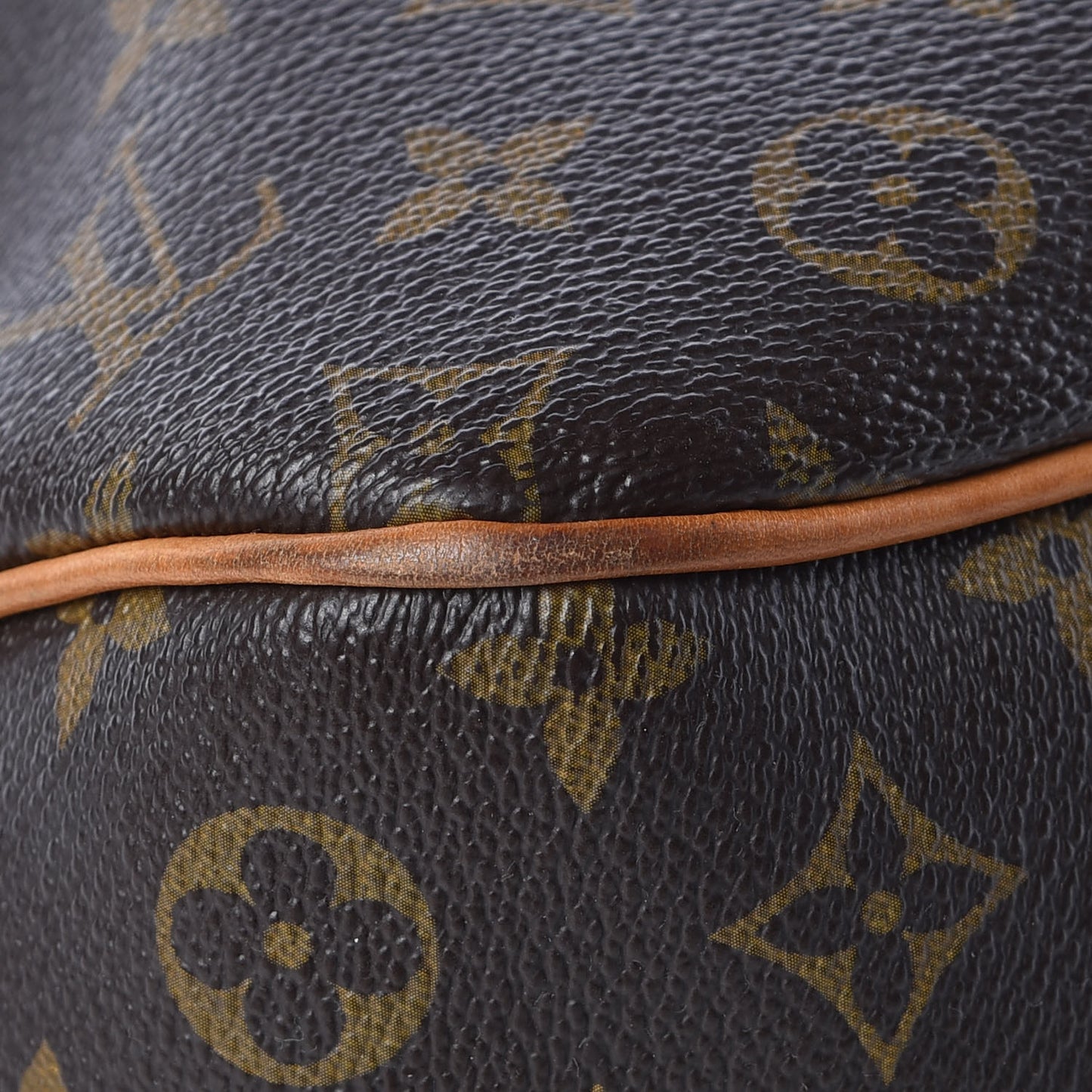 Monogram Delightful PM