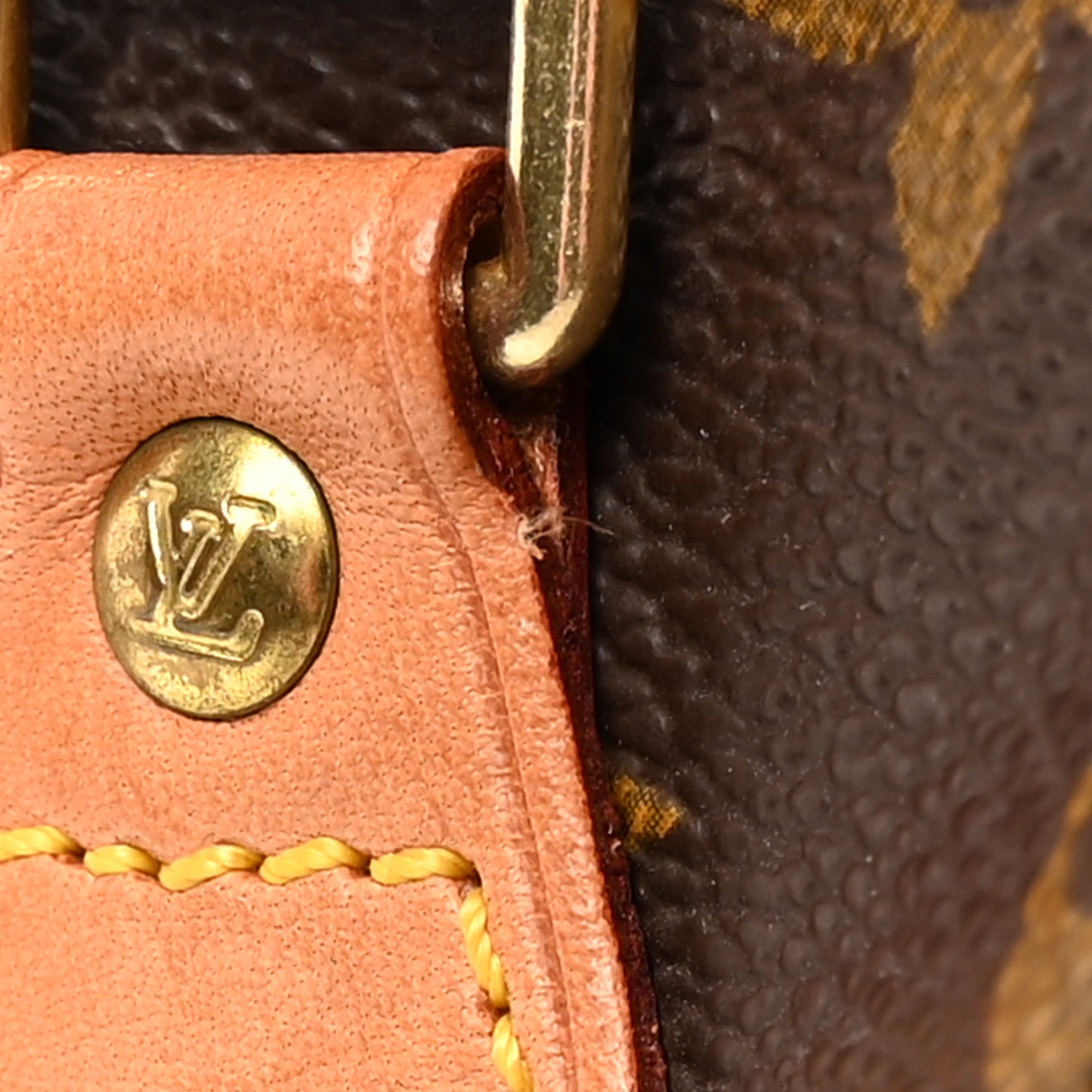 Monogram Mini Sac HL Speedy