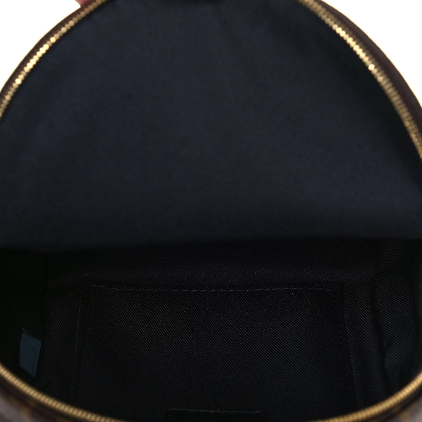 Monogram Palm Springs Backpack Mini