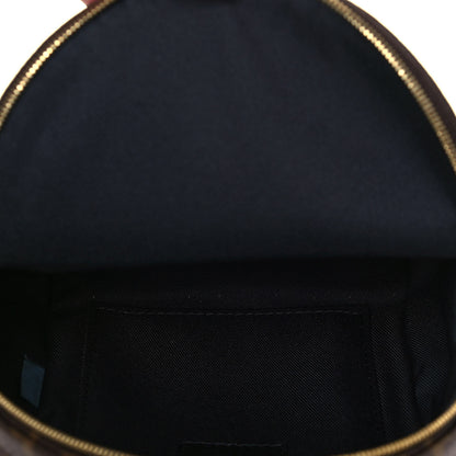 Louis Vuitton Monogram Palm Springs Backpack Mini 5 of 9