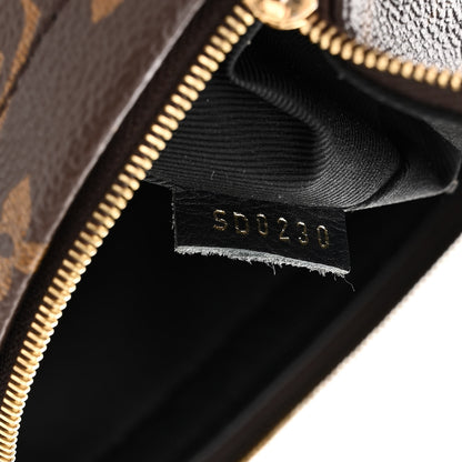 Louis Vuitton Monogram Palm Springs Backpack Mini 7 of 11