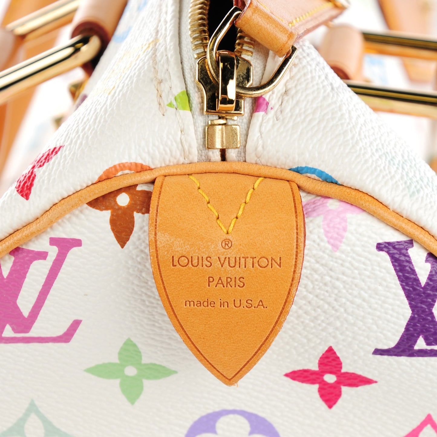 Monogram Multicolor Speedy 30 White