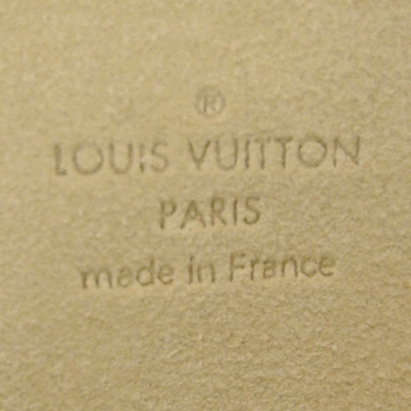 Monogram Pochette Florentine Bum Bag