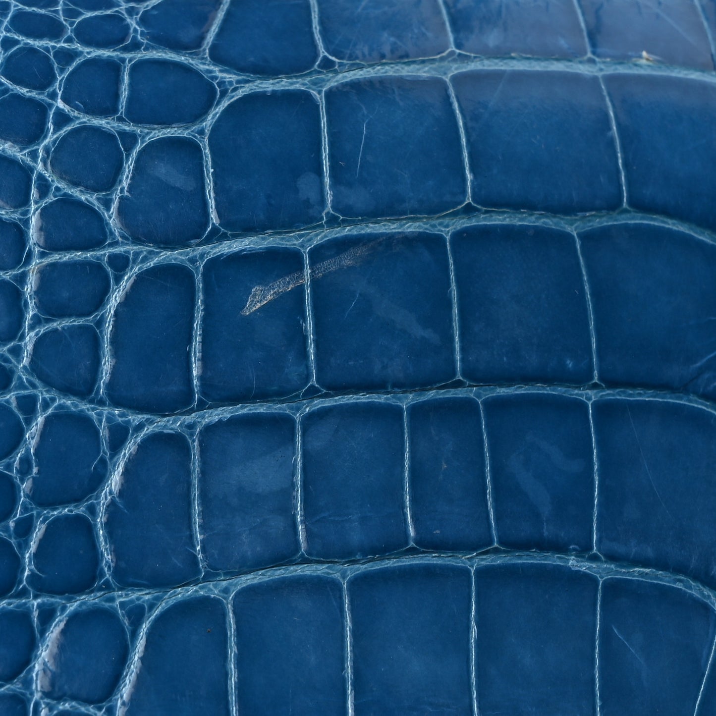 Shiny Alligator Bearn Gusset Wallet Bleu Izmir