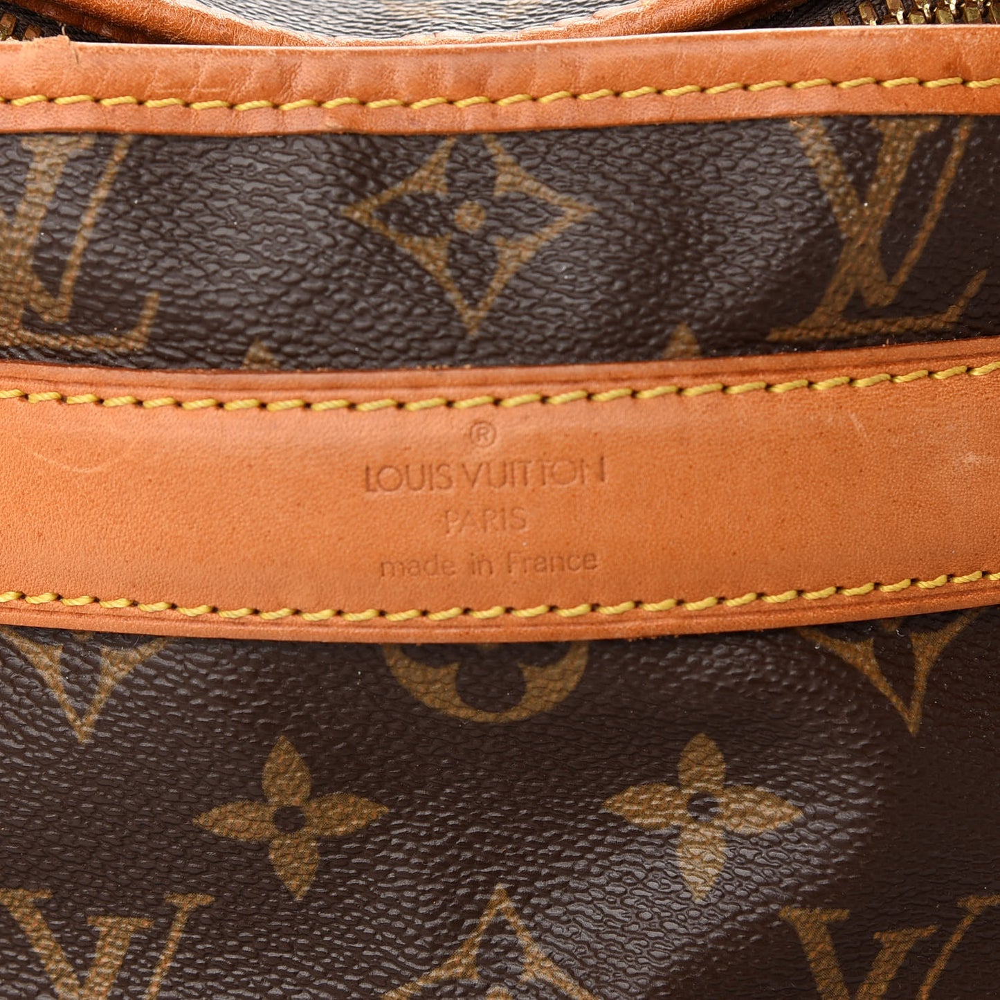 Monogram Sac Chien 50 Pet Carrier
