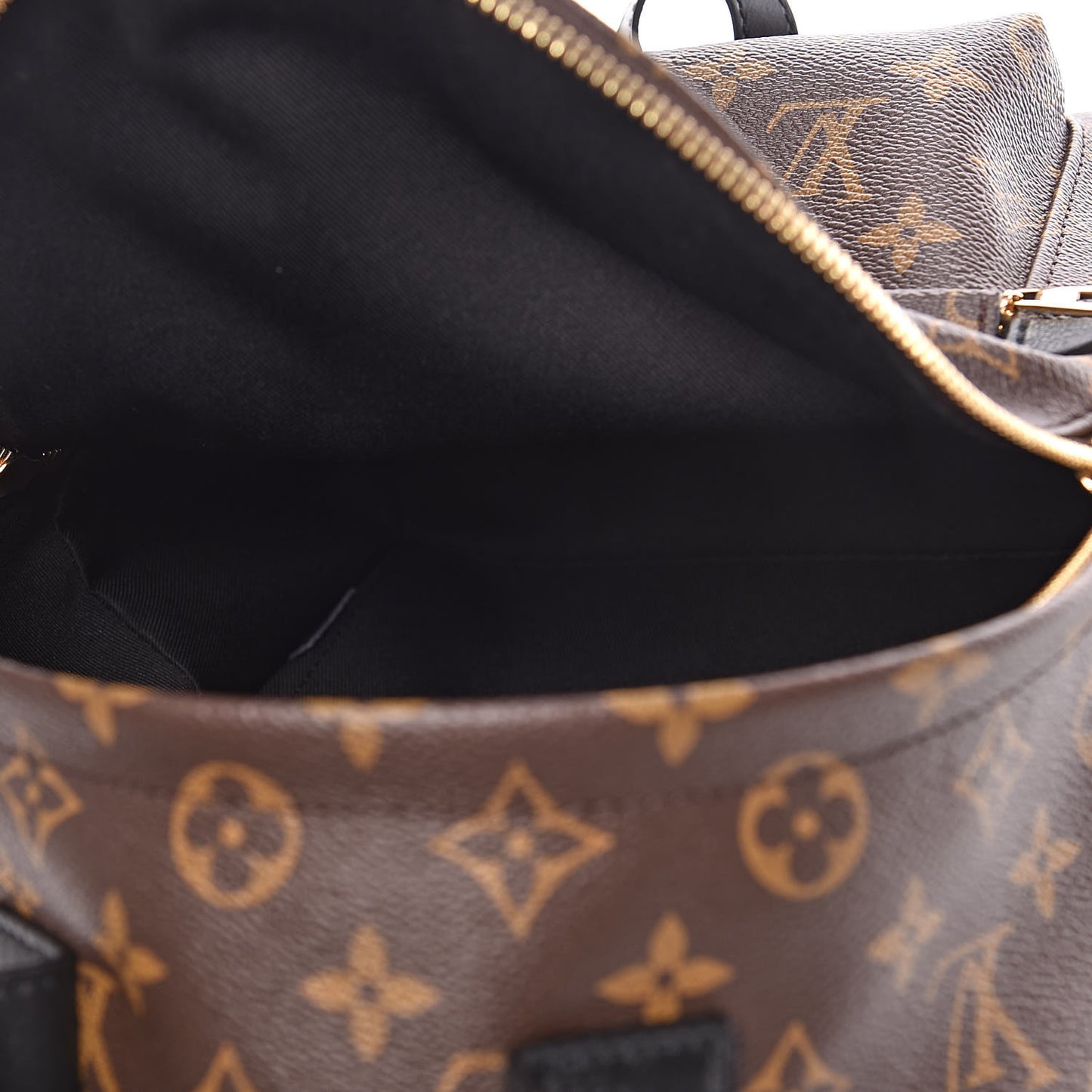 Monogram Palm Springs Backpack PM