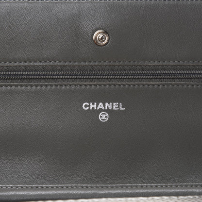 Chanel Lizard Ombre Wallet on Chain WOC Grey 13 of 16