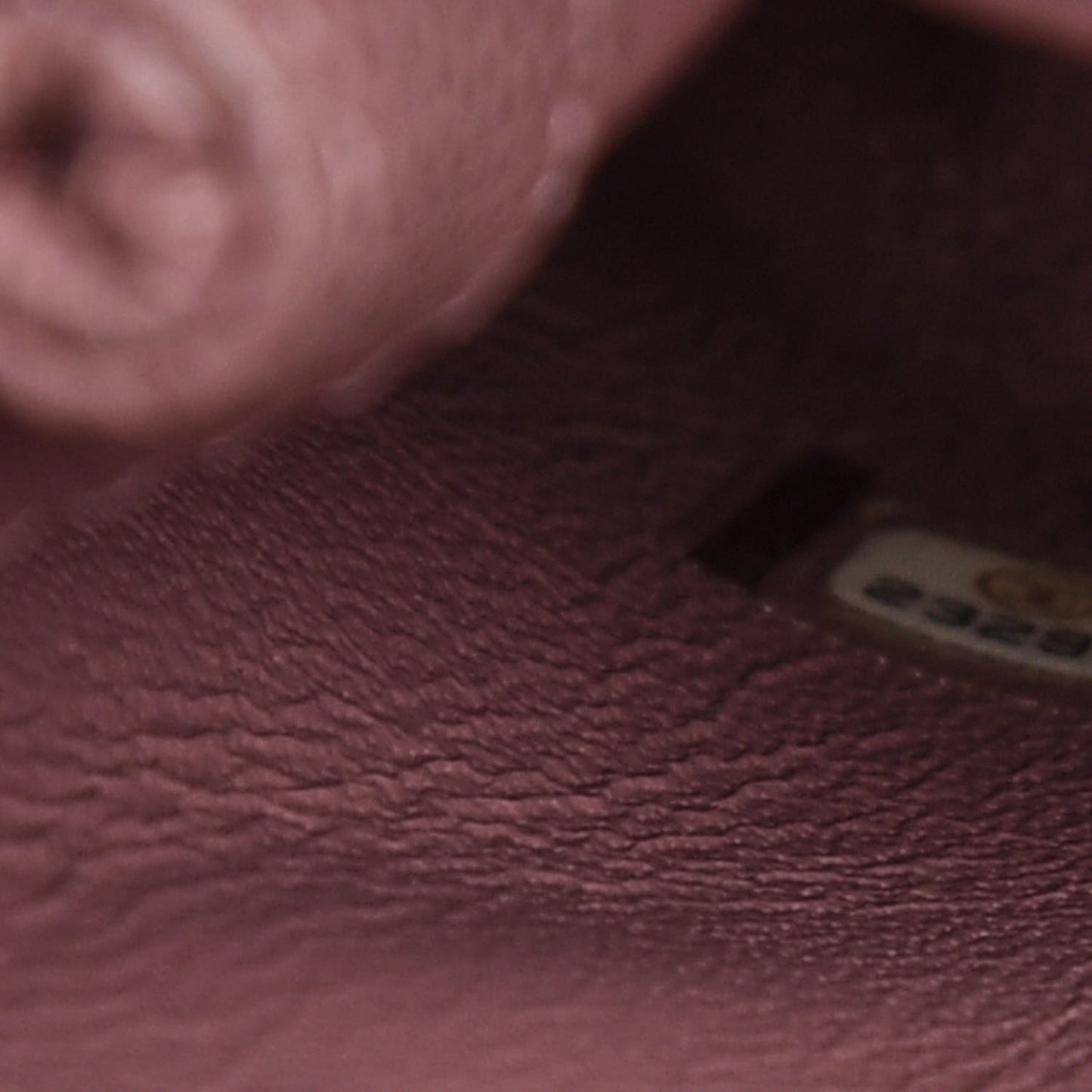 Caviar Lizard Quilted Mini Coco Handle Flap Pink