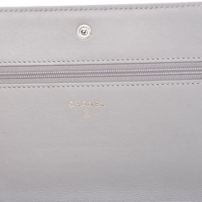 Chanel Woven Straw Raffia Deauville WOC Grey 6 of 9