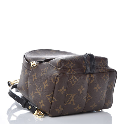 Louis Vuitton Monogram Palm Springs Backpack Mini 4 of 6