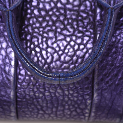 Alexander Wang Metallic Pebbled Lambskin Rocco Nile With Silver Hardware 13 of 14