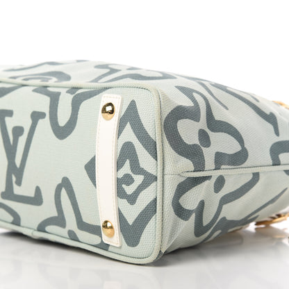 Louis Vuitton Tahitienne Cabas PM Menthe 7 of 9