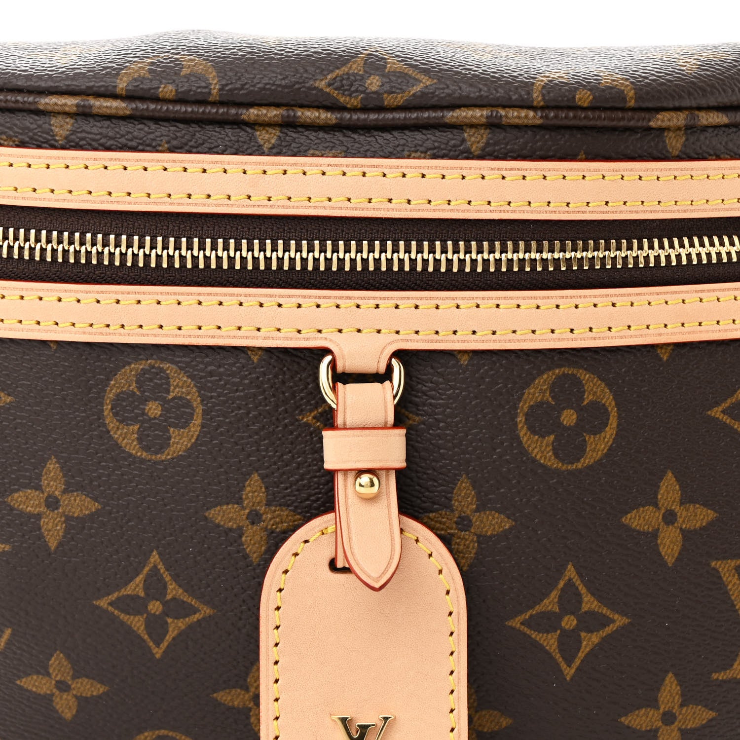 Louis Vuitton Monogram High Rise Bumbag 7 of 10