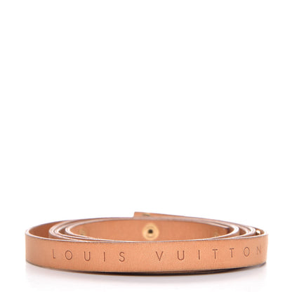 Louis Vuitton Vachetta Pochette Florentine 12mm Strap M 2 of 5