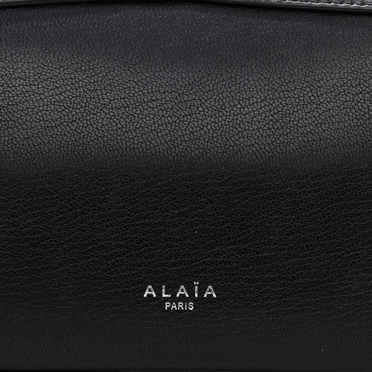 Goatskin Medium Le Teckel Bag Black