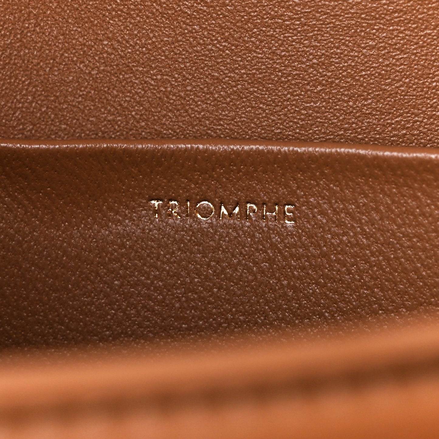 Shiny Calfskin Medium Triomphe Bronze
